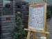 web xmas photo - 01